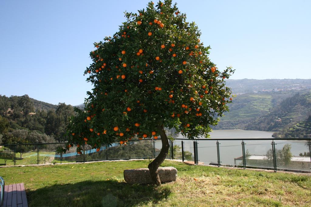 Quinta Das Quintas & Spa Baião Exterior photo